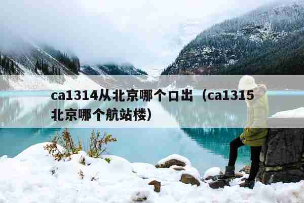 ca1314从北京哪个口出（ca1315北京哪个航站楼）