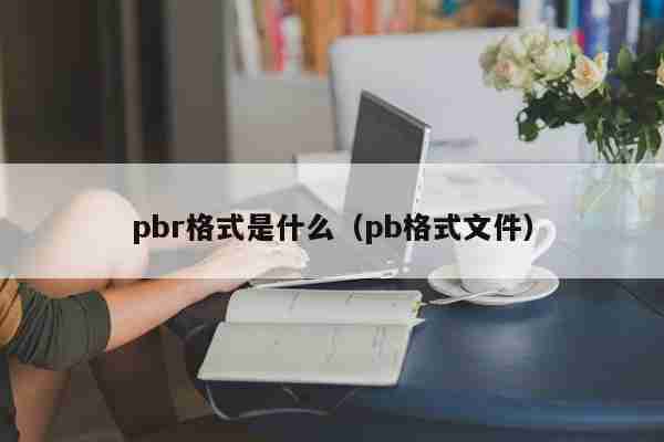 pbr格式是什么（pb格式文件）